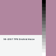 Color chip: 16-2107 TPX Orchid Haze