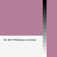 Color chip: 16-2111 TPX Mauve Orchid