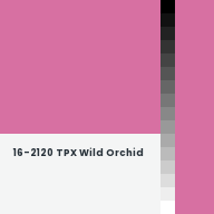 Color chip: 16-2120 TPX Wild Orchid
