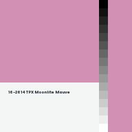 Color chip: 16-2614 TPX Moonlite Mauve