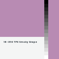 Color chip: 16-3110 TPX Smoky Grape