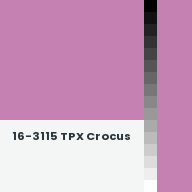 Color chip: 16-3115 TPX Crocus