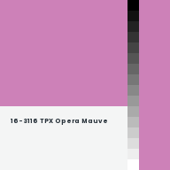 Color chip: 16-3116 TPX Opera Mauve