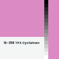 Color chip: 16-3118 TPX Cyclamen
