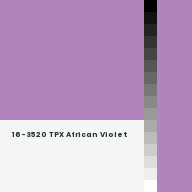 Color chip: 16-3520 TPX African Violet