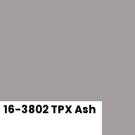 Color chip: 16-3802 TPX Ash