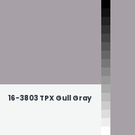 Color chip: 16-3803 TPX Gull Gray