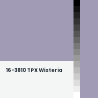 Color chip: 16-3810 TPX Wisteria
