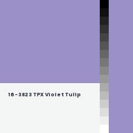Color chip: 16-3823 TPX Violet Tulip