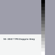 Color chip: 16-3907 TPX Dapple Gray