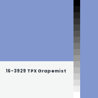 Color chip: 16-3929 TPX Grapemist