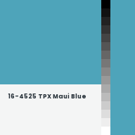 Color chip: 16-4525 TPX Maui Blue