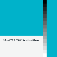 Color chip: 16-4725 TPX Scuba Blue