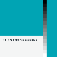 Color chip: 16-4728 TPX Peacock Blue