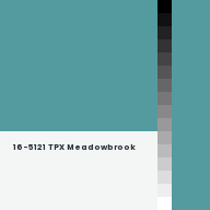 Color chip: 16-5121 TPX Meadowbrook