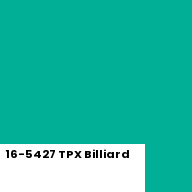 Color chip: 16-5427 TPX Billiard