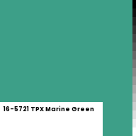 Color chip: 16-5721 TPX Marine Green