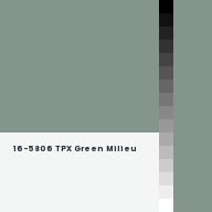 Color chip: 16-5806 TPX Green Milieu