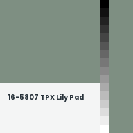 Color chip: 16-5807 TPX Lily Pad