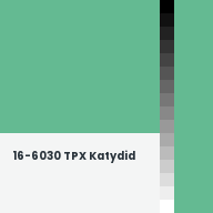 Color chip: 16-6030 TPX Katydid