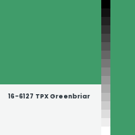 Color chip: 16-6127 TPX Greenbriar