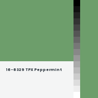 Color chip: 16-6329 TPX Peppermint