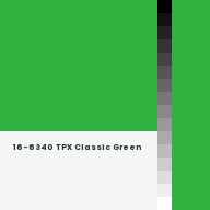 Color chip: 16-6340 TPX Classic Green