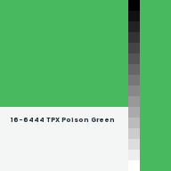 Color chip: 16-6444 TPX Poison Green