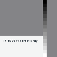 Color chip: 17-0000 TPX Frost Gray