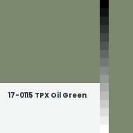 Color chip: 17-0115 TPX Oil Green