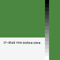 Color chip: 17-0145 TPX Online Lime