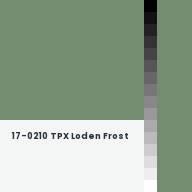 Color chip: 17-0210 TPX Loden Frost