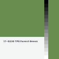 Color chip: 17-0230 TPX Forest Green