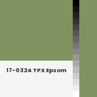 Color chip: 17-0324 TPX Epsom