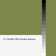 Color chip: 17-0330 TPX Turtle Green