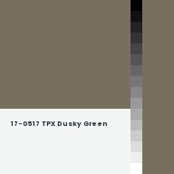 Color chip: 17-0517 TPX Dusky Green