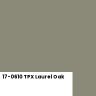 Color chip: 17-0610 TPX Laurel Oak