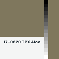 Color chip: 17-0620 TPX Aloe