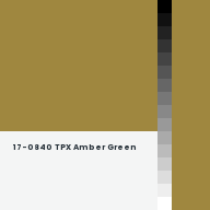 Color chip: 17-0840 TPX Amber Green