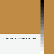 Color chip: 17-1040 TPX Spruce Yellow