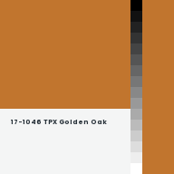 Color chip: 17-1046 TPX Golden Oak