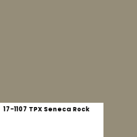 Color chip: 17-1107 TPX Seneca Rock