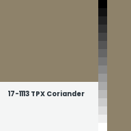 Color chip: 17-1113 TPX Coriander