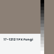 Color chip: 17-1212 TPX Fungi