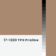 Color chip: 17-1223 TPX Praline