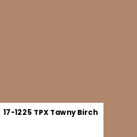 Color chip: 17-1225 TPX Tawny Birch