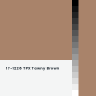 Color chip: 17-1226 TPX Tawny Brown