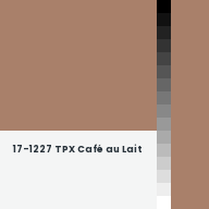 Color chip: 17-1227 TPX Café au Lait