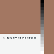 Color chip: 17-1230 TPX Mocha Mousse