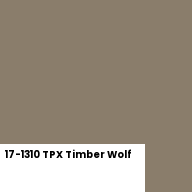 Color chip: 17-1310 TPX Timber Wolf